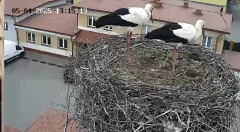 IMG_3508.jpeg