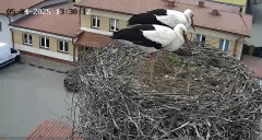 IMG_3557.jpeg
