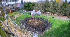 IMG_3476.jpeg