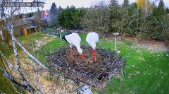IMG_3478.jpeg