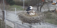 IMG_3486.jpeg