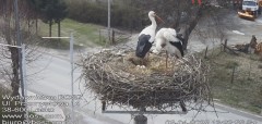 IMG_3533.jpeg