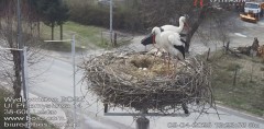 IMG_3534.jpeg