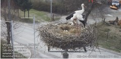IMG_3535.jpeg