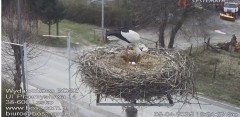 IMG_3538.jpeg