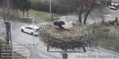 IMG_3539.jpeg