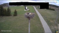 IMG_3675.jpeg