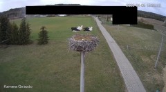 IMG_3687.jpeg
