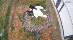 IMG_3689.jpeg