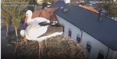 IMG_3740.jpeg