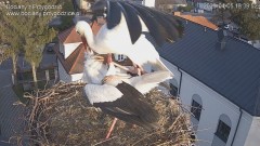 IMG_3743.jpeg