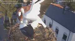 IMG_3744.jpeg