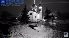 2025-04-05 20_39_29-(1) Gniazdo Bocianie - Telewizja Sokółka [NA ŻYWO] _ IP Camera_ Stork's nest [LI.png