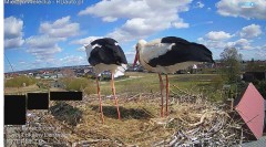 IMG_3485.jpeg