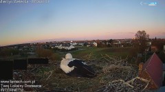 IMG_3756.jpeg