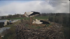 2025-04-05 22_13_12-(1) Bociany - Raszków - YouTube - Maxthon.png
