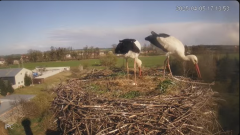 2025-04-05 22_13_58-(1) Bociany - Raszków - YouTube - Maxthon.png