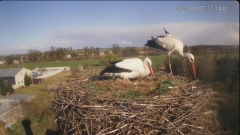 2025-04-05 22_14_06-(1) Bociany - Raszków - YouTube - Maxthon.png