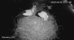 IMG_3775.jpeg