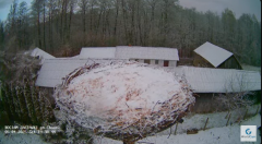 2025-04-05 22_33_06-(1) Zastawki - Bocianie gniazdo - YouTube - Maxthon.png