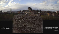 2025-04-05 22_47_19-(1) Bociany Biecz - YouTube - Maxthon.png