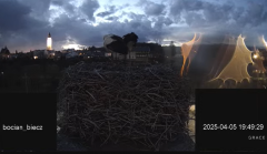 2025-04-05 22_48_24-(1) Bociany Biecz - YouTube - Maxthon.png