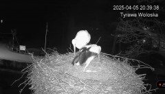 IMG_2294.jpeg
