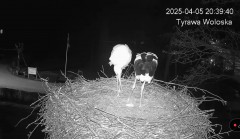IMG_2295.jpeg