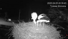 IMG_2296.jpeg