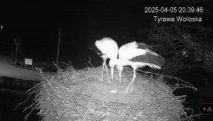 IMG_2297.jpeg