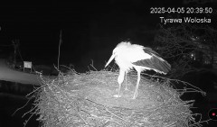 IMG_2298.jpeg
