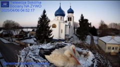 IMG_3891.jpeg