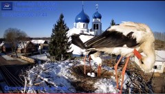 IMG_3893.jpeg