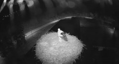 IMG_3915.jpeg