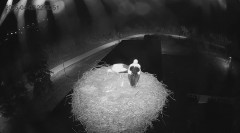 IMG_3917.jpeg