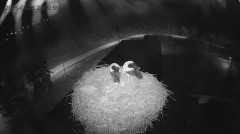 IMG_3918.jpeg
