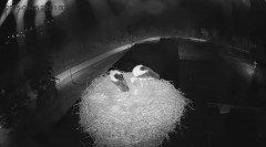IMG_3919.jpeg