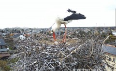 IMG_4060.jpeg