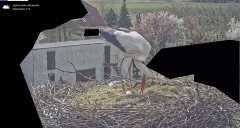 IMG_3951.jpeg