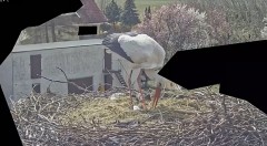 IMG_3953.jpeg
