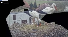 IMG_4005.jpeg