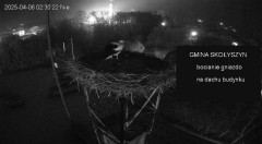 IMG_4013.jpeg