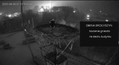 IMG_4017.jpeg
