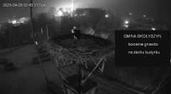 IMG_4024.jpeg