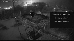 IMG_4029.jpeg