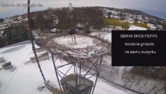 IMG_4038.jpeg