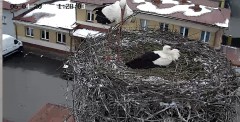 IMG_3936.jpeg