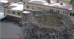 IMG_3950.jpeg