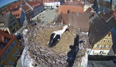 IMG_5618.jpeg