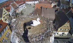 IMG_5614.jpeg
